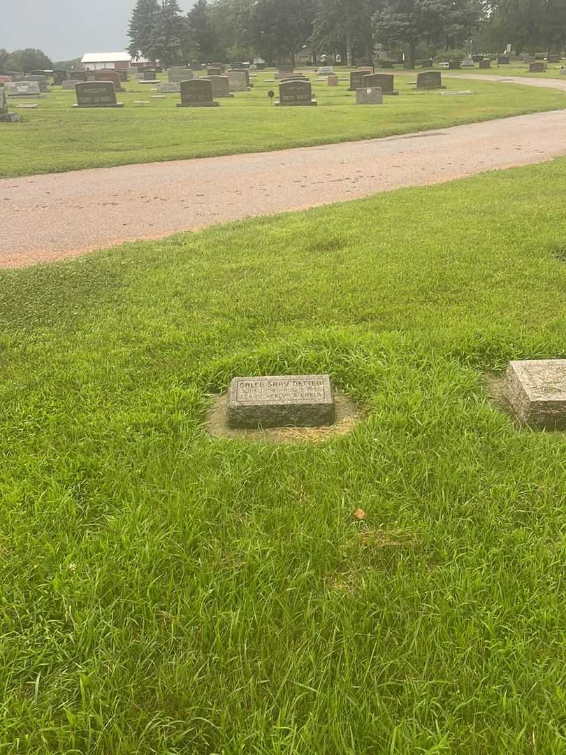 Caleb Shay Netten's grave. Photo 2