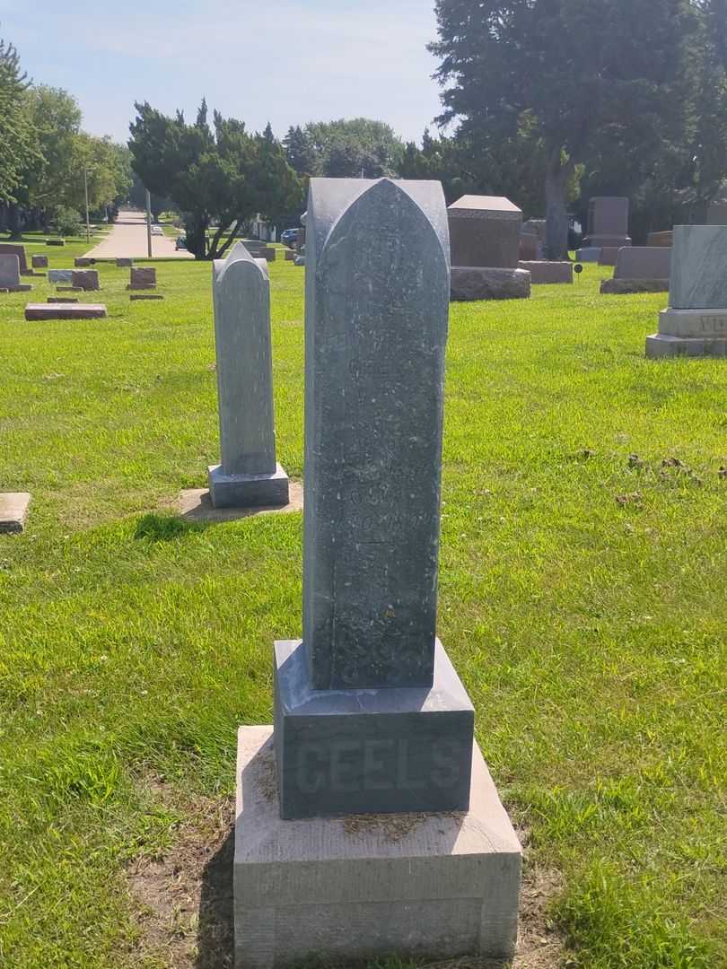 Femmetje Geels's grave. Photo 3
