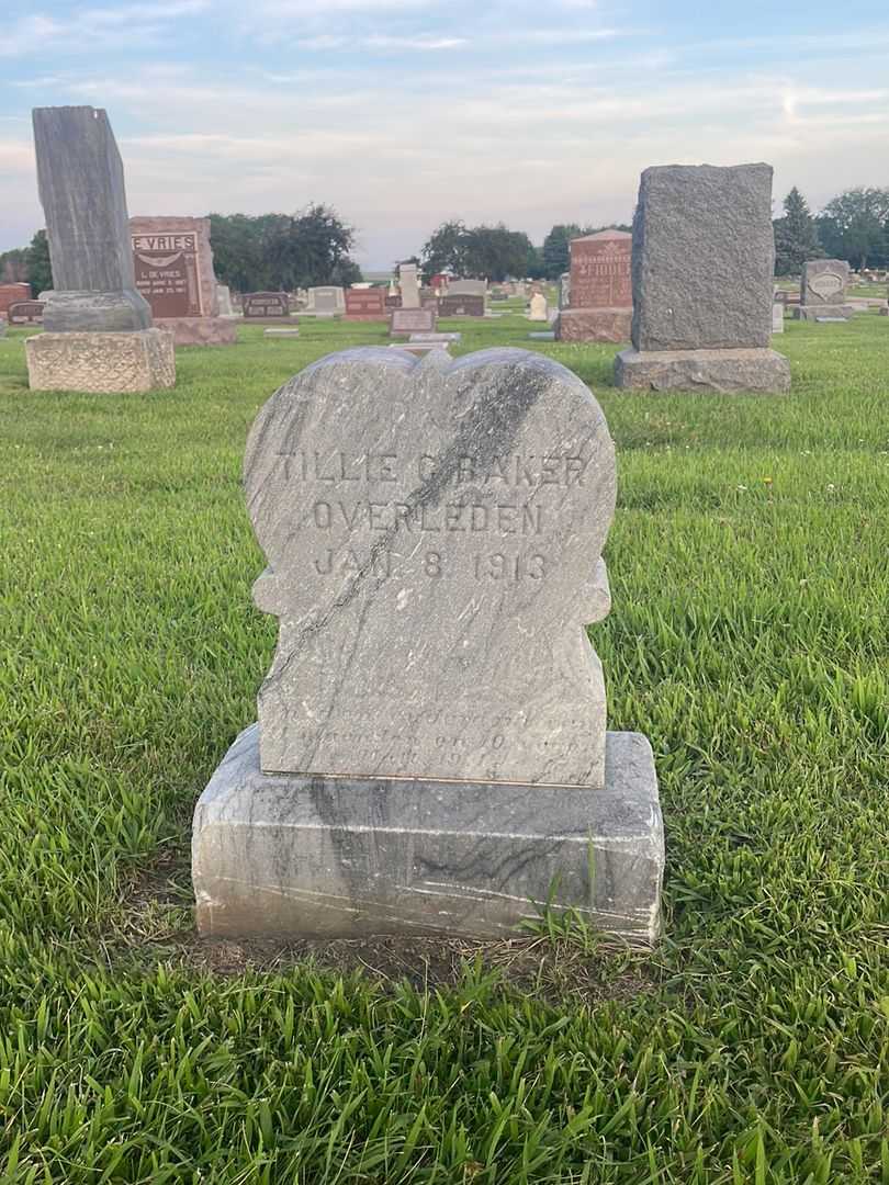 Baby Bakker's grave. Photo 3