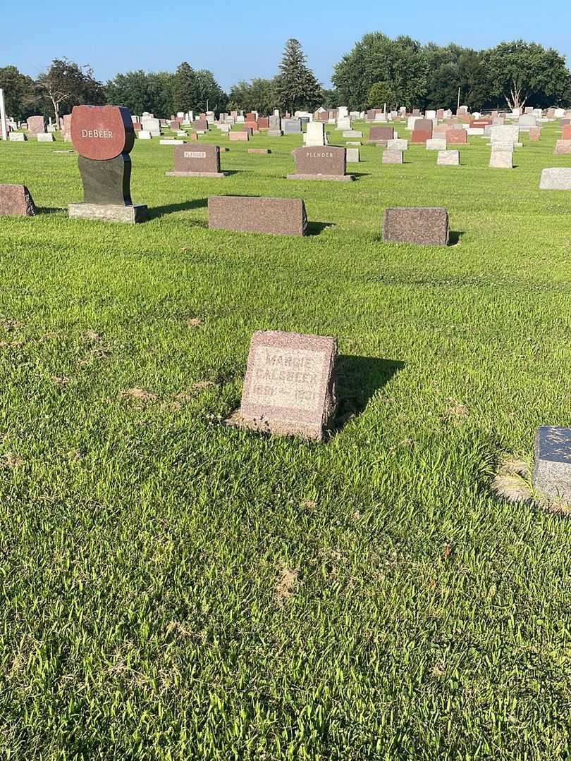 Margie Calsbeek's grave. Photo 2