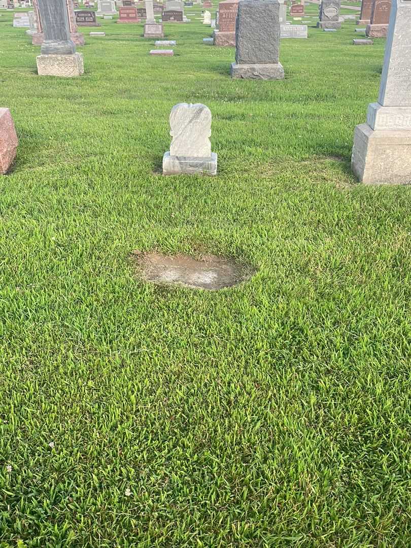 Baby Bakker's grave. Photo 4