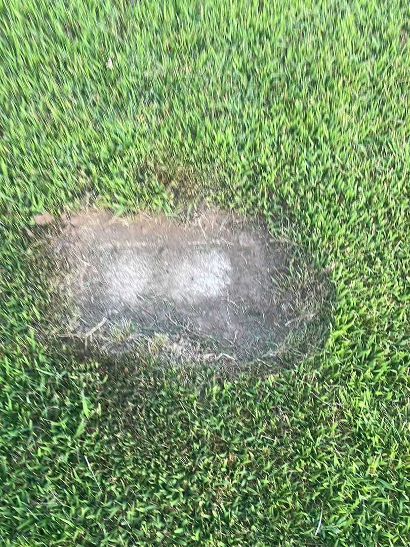 Baby Bakker's grave. Photo 5