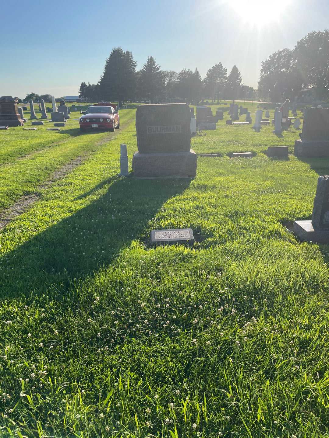 Baby Raak's grave. Photo 2