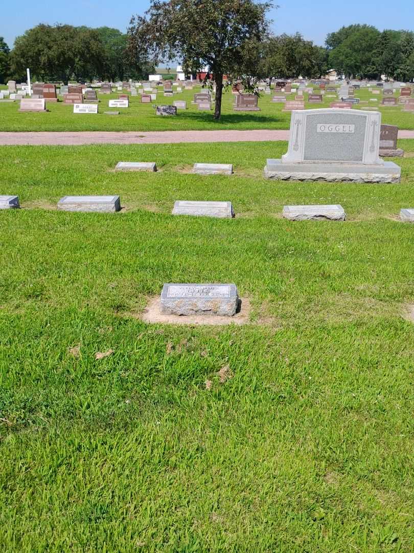 Verlyn James Geels's grave. Photo 2