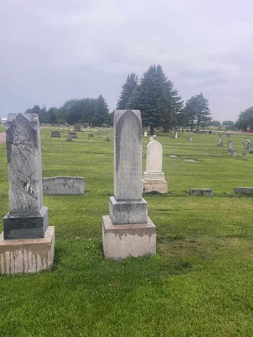 Etta Abma Geliefde Van Steenwyk's grave. Photo 2