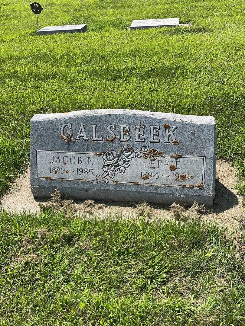 Jacob P. "Jake" Calsbeek's grave. Photo 1