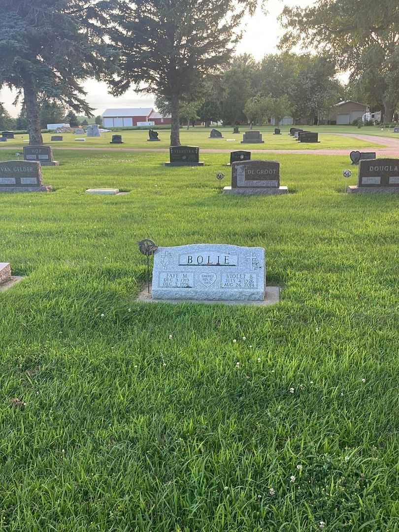 Faye M. Bolie's grave. Photo 2