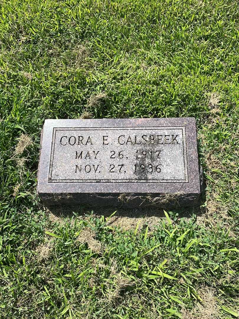 Cora E. Calsbeek's grave. Photo 1