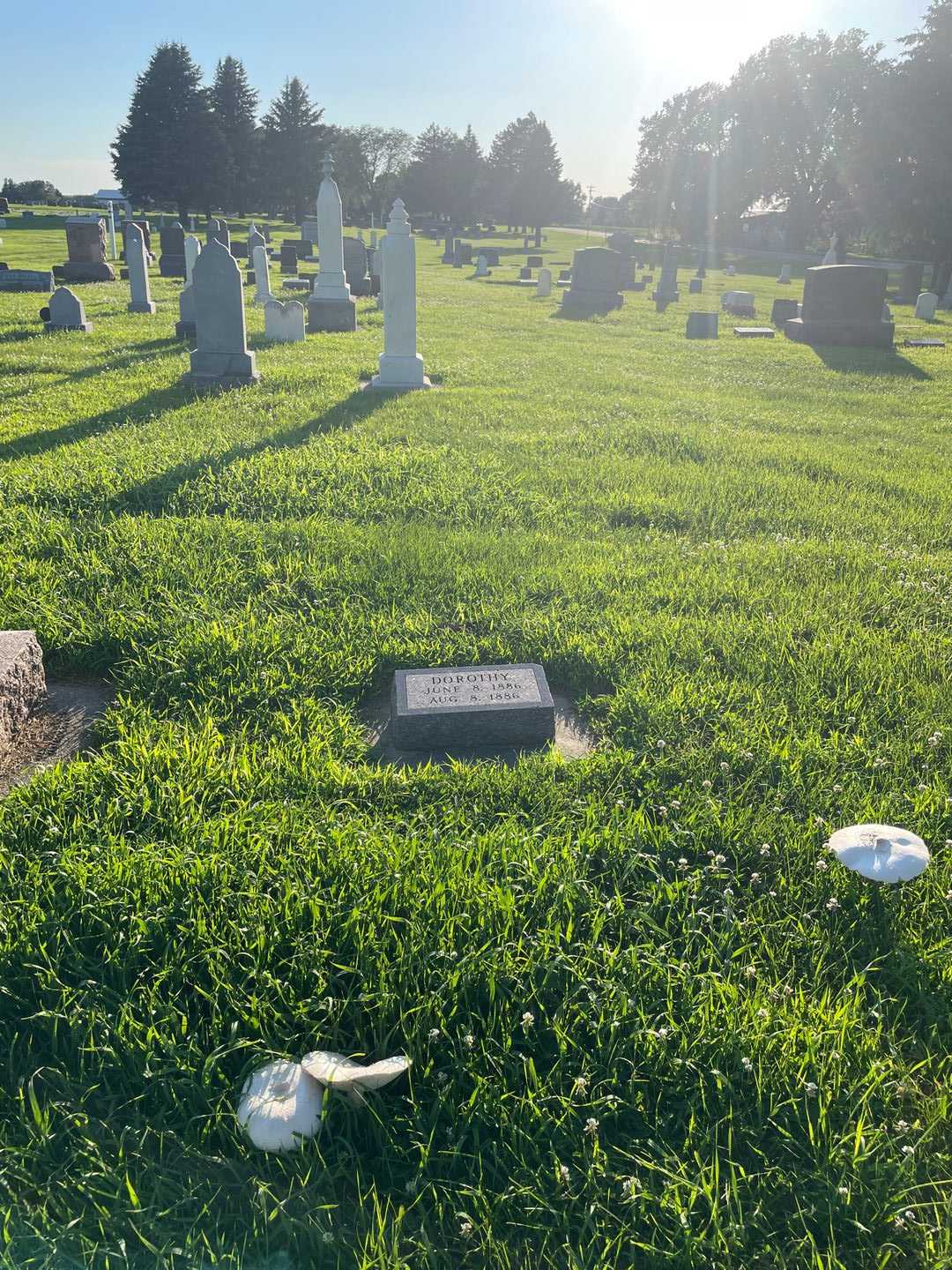 Dorothy Raak's grave. Photo 2