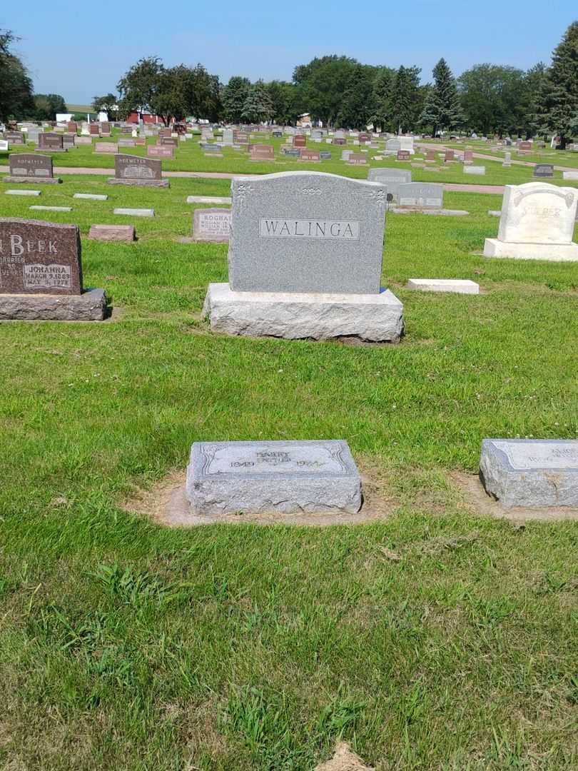 Harry Walinga's grave. Photo 2