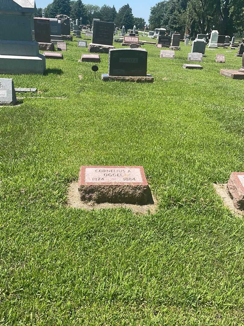 Cornelius A. Oggel's grave. Photo 2