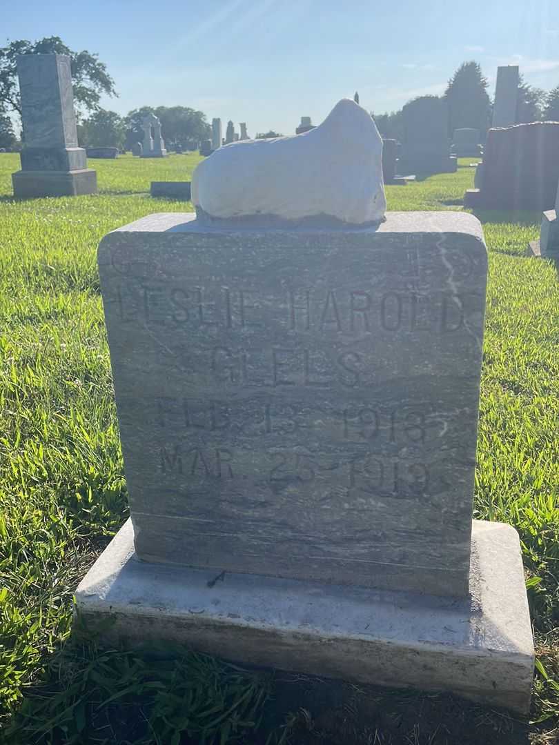 Leslie Harold Geels's grave. Photo 1