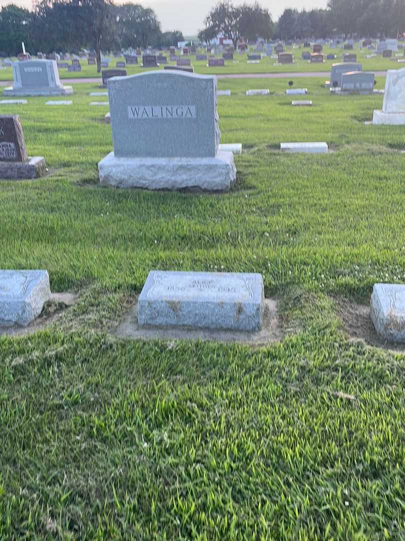 Alice Walinga's grave. Photo 2