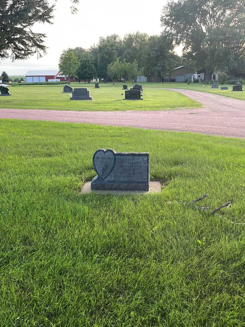 Alexandra K. Nibbelink's grave. Photo 2