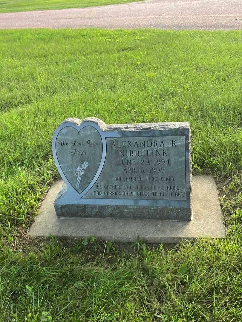 Alexandra K. Nibbelink's grave. Photo 1