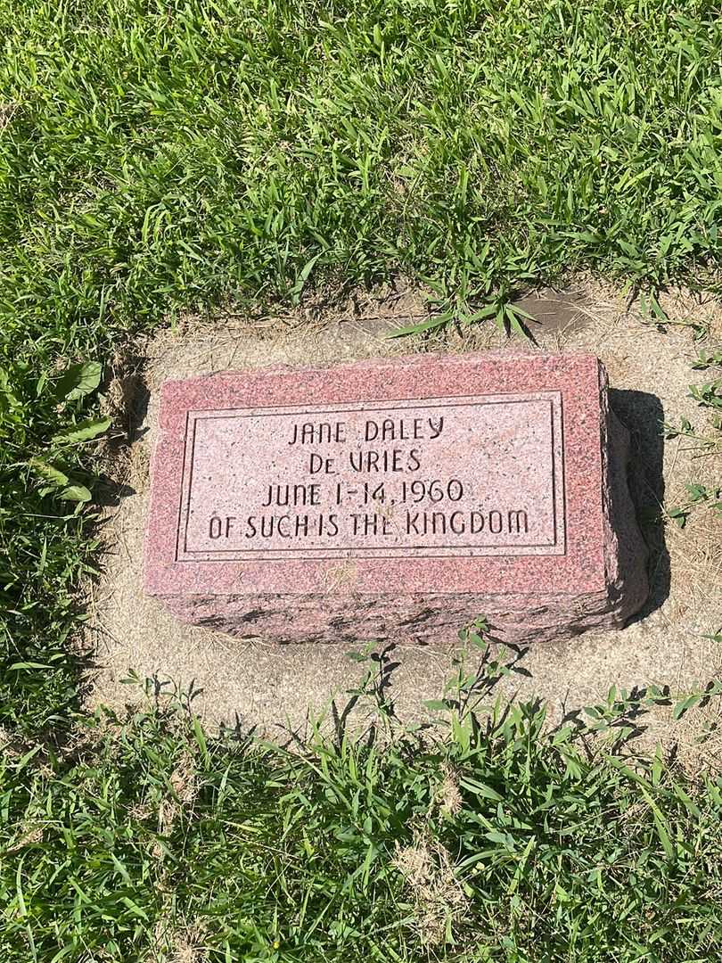 Jane Daley De Vries's grave. Photo 4