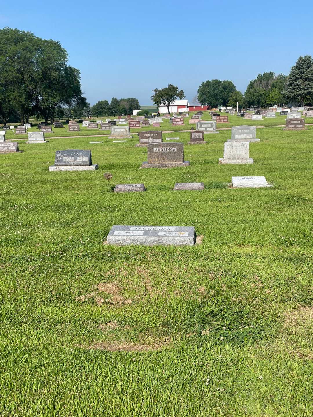 Dorothy Jacobsma's grave. Photo 2