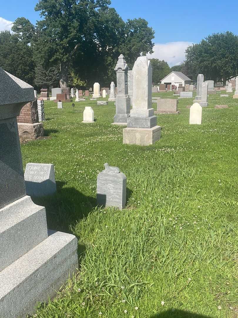 Baby Schaap's grave. Photo 2