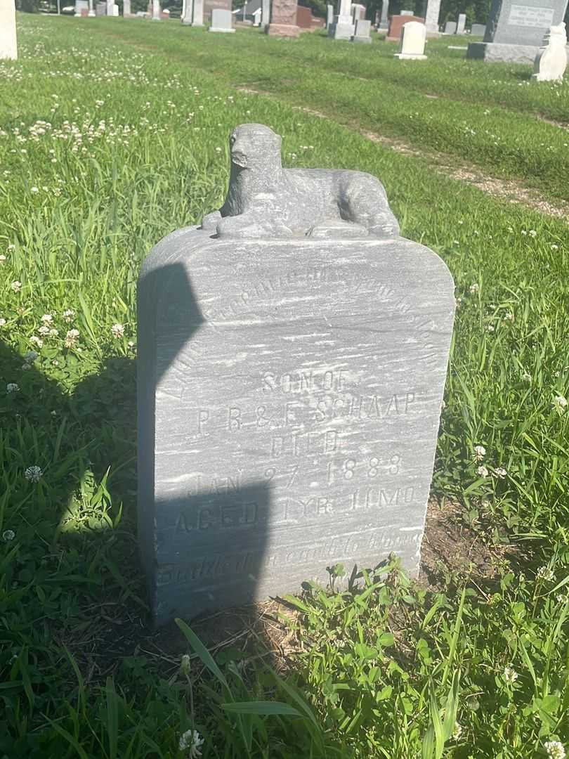 Baby Schaap's grave. Photo 3